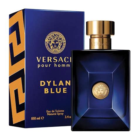 eau de parfum uomo versace|versace pour homme top notes.